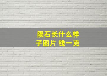 陨石长什么样子图片 钱一克